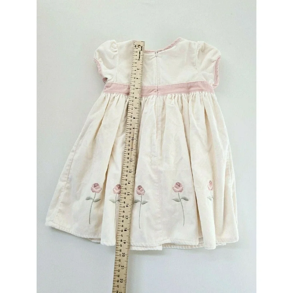 Gymboree Velveteen Rose Dress EUC | 18/24 M 2006 Vintage